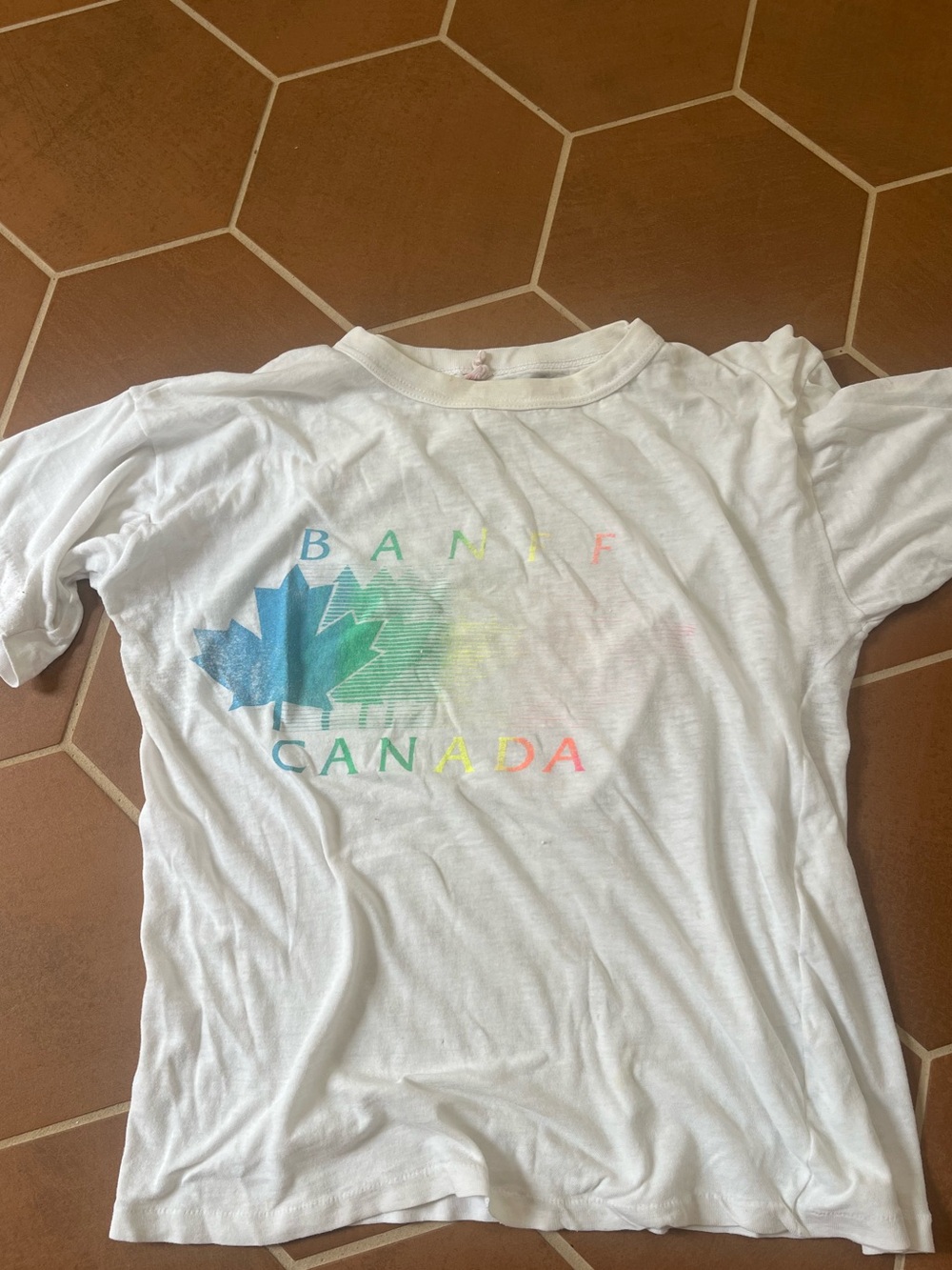 Vintage Banff T shirt